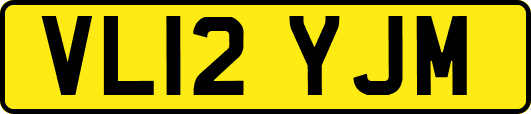 VL12YJM