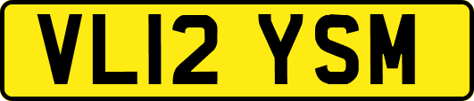VL12YSM
