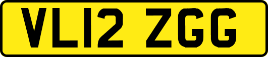 VL12ZGG