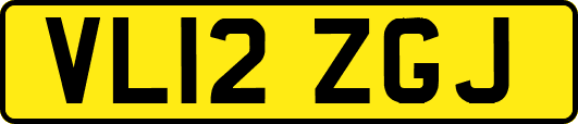 VL12ZGJ