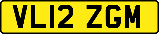 VL12ZGM