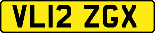 VL12ZGX
