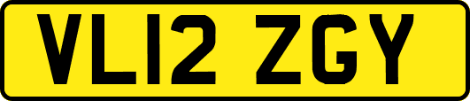 VL12ZGY