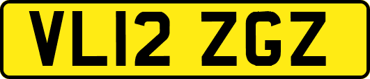 VL12ZGZ