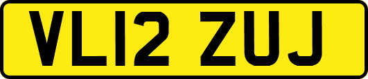 VL12ZUJ
