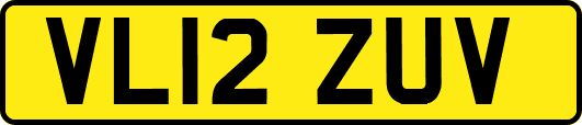 VL12ZUV
