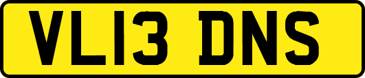 VL13DNS