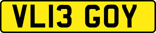 VL13GOY
