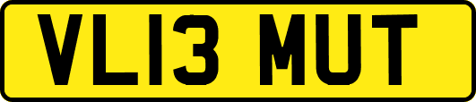 VL13MUT