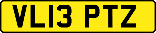 VL13PTZ