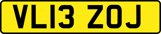 VL13ZOJ