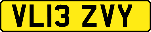 VL13ZVY