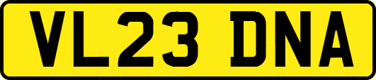 VL23DNA