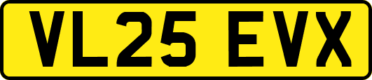 VL25EVX