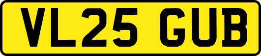 VL25GUB