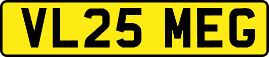VL25MEG