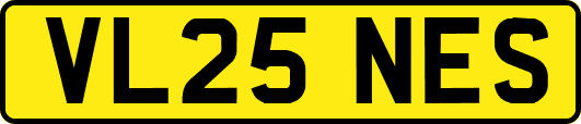 VL25NES