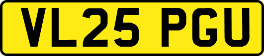 VL25PGU