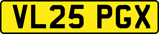 VL25PGX