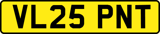 VL25PNT