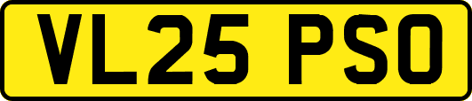 VL25PSO