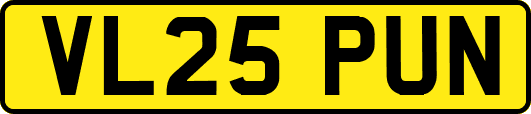 VL25PUN