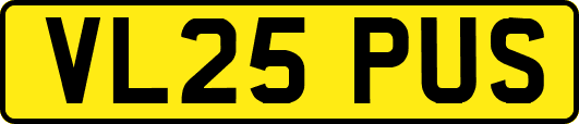 VL25PUS