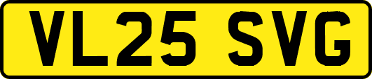 VL25SVG