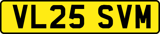 VL25SVM