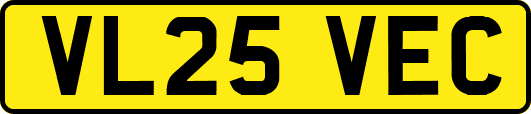 VL25VEC