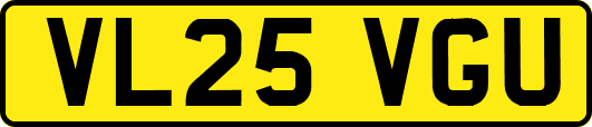 VL25VGU