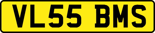 VL55BMS