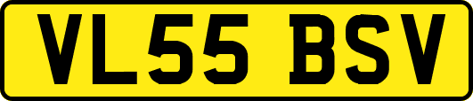 VL55BSV