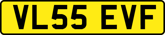 VL55EVF