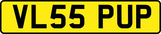 VL55PUP