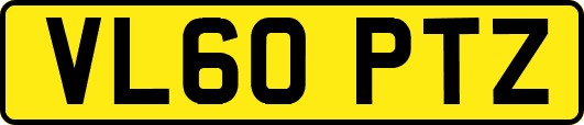 VL60PTZ