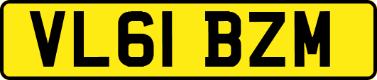 VL61BZM