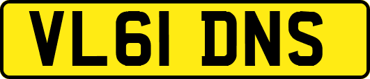 VL61DNS