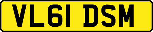 VL61DSM