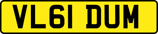 VL61DUM