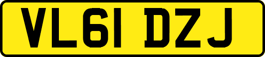 VL61DZJ