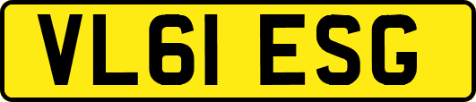 VL61ESG