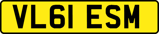 VL61ESM