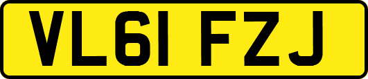 VL61FZJ