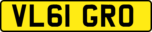 VL61GRO