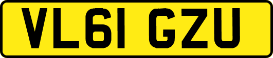 VL61GZU