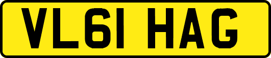 VL61HAG