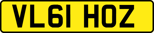 VL61HOZ