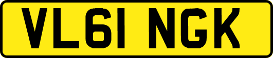 VL61NGK