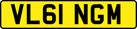 VL61NGM